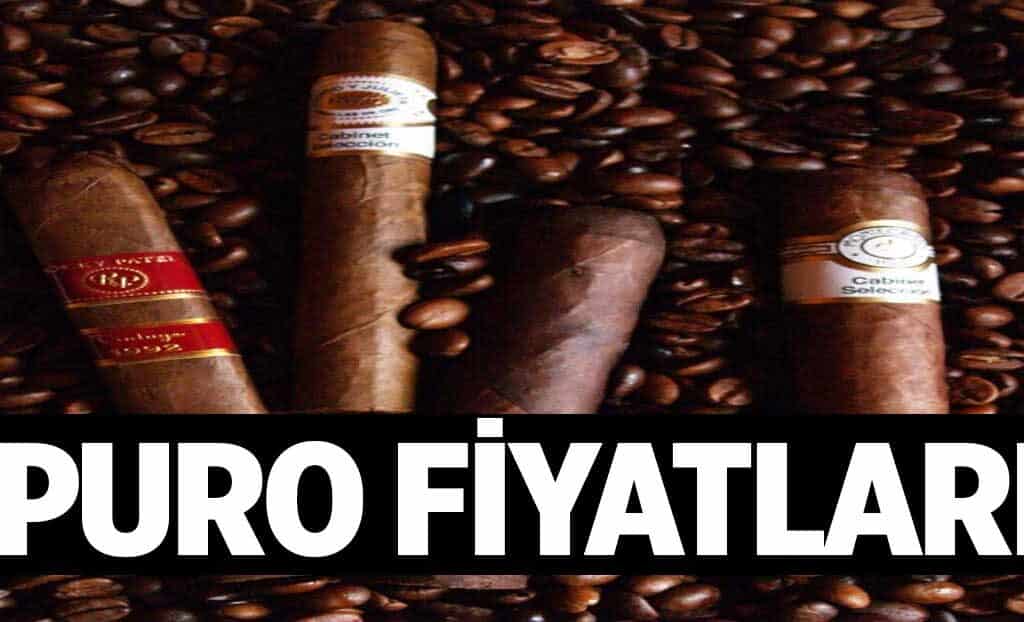 Puro Fiyatlari 1024x622Iem.jpg