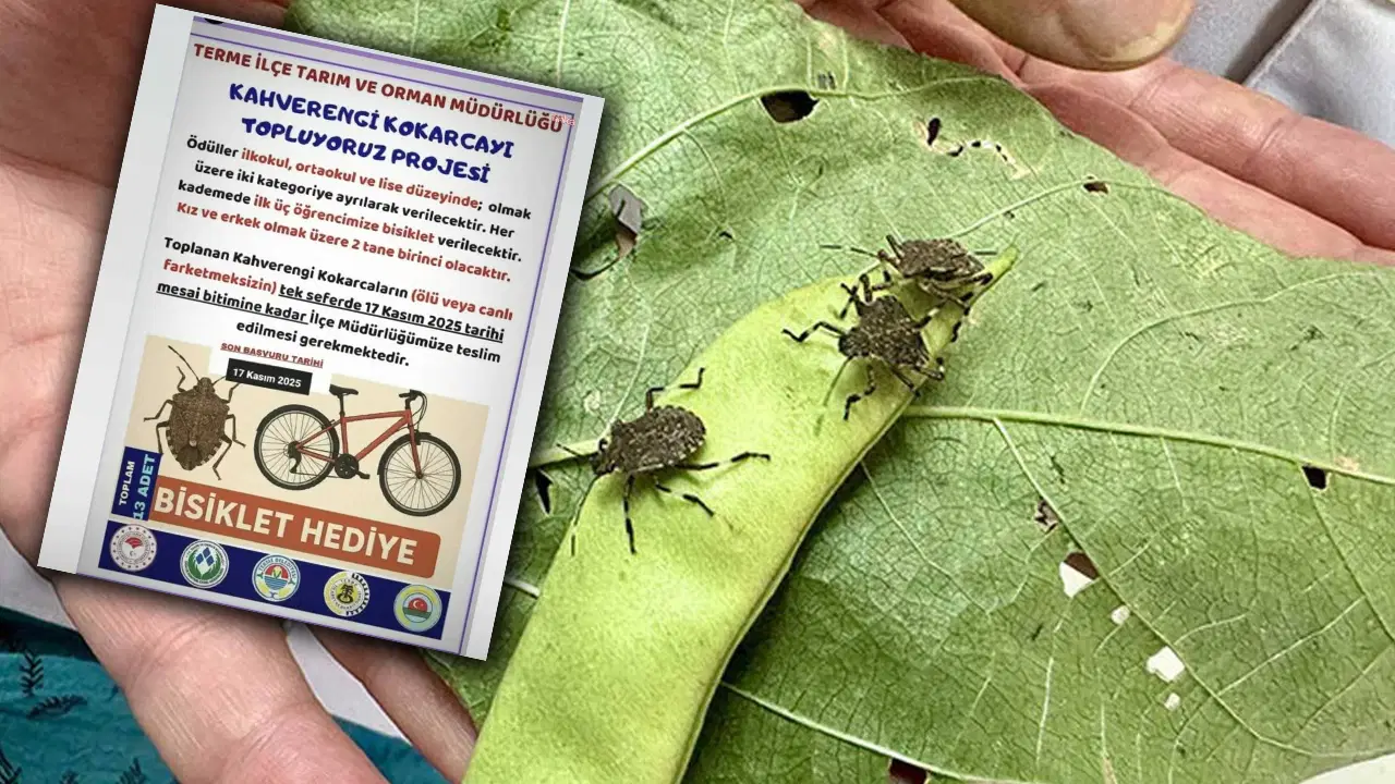 kokarca toplama projesine chpden tepki bilimle mucadele edecegimize cocuklari kullaniyoruz cCTIH1cK.jpg