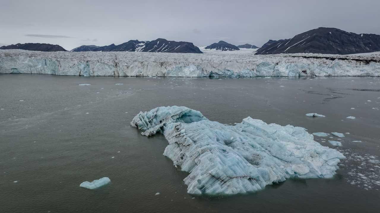 baliklarin yaptigi geometrik desenler kesfedildi n5WXwfPL.webp