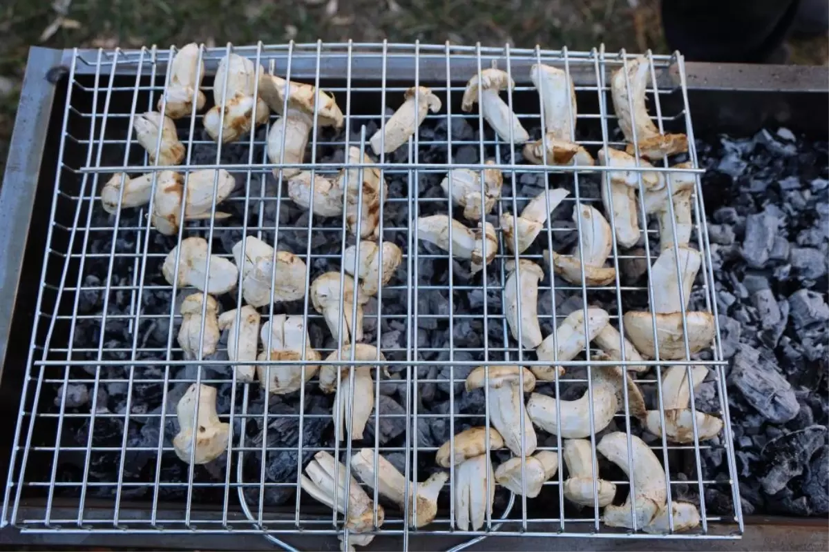 kilosu etle yarisiyor japonlarin gozdesi beyaz altinda hasat basladi EMYL4P9m.jpg